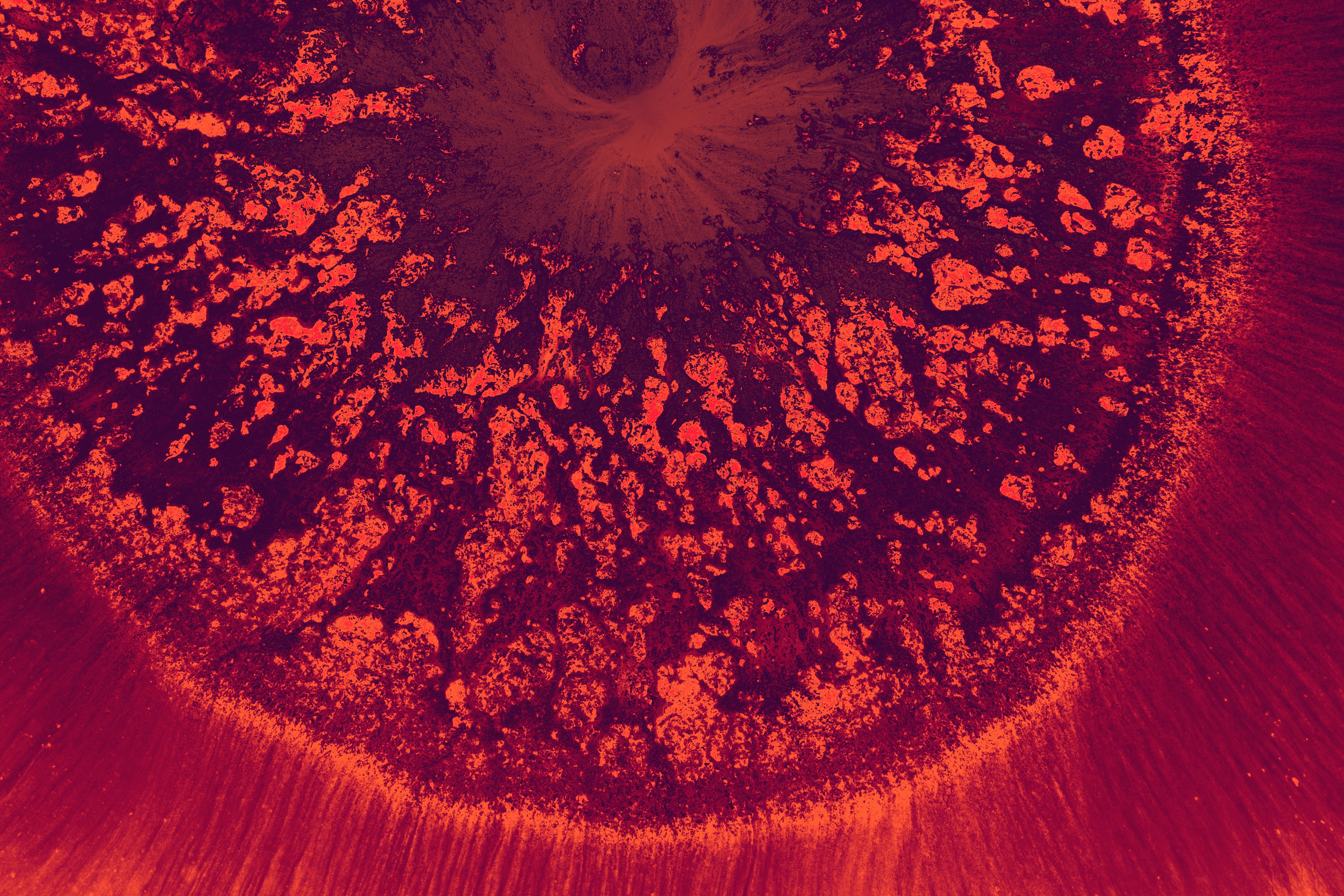 Free vs. Paid Domain Names: What’s Right for Your Business?